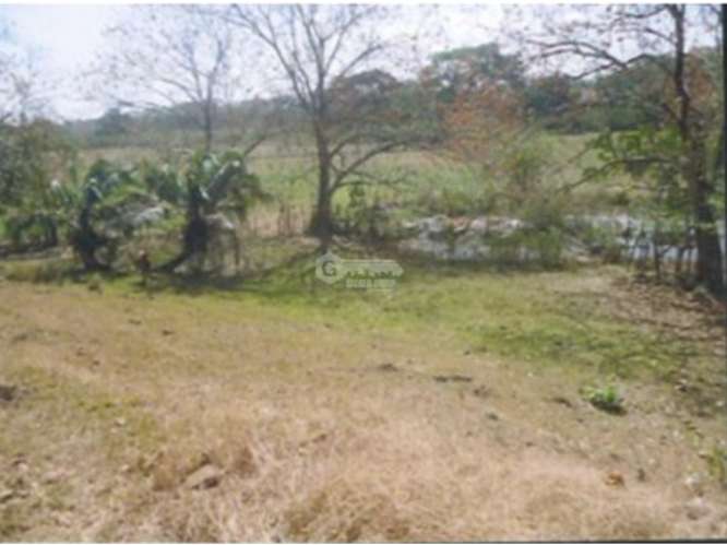 SE VENDE FINCA 1.6 HECTAREAS EN CHEPO LOMA DEL RIO CON  PISCINA - Imagen 1