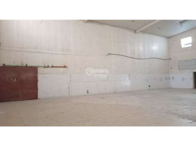 GALERA COMERCIAL / EL PARADOR / PEDREGAL  / 268 M2 / SOBRE VIA - Imagen 12