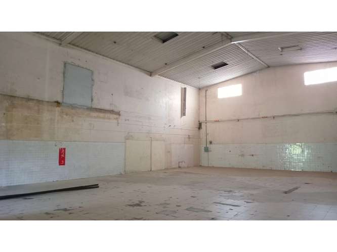 GALERA COMERCIAL / EL PARADOR / PEDREGAL  / 268 M2 / SOBRE VIA - Imagen 4