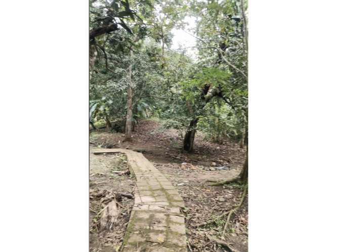 SE VENDE CASA 6000M EN CHILIBRE AGUA BENDITA CON TERRAZAS DUPLEX - Imagen 5