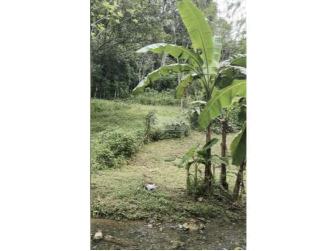 SE VENDE CASA 6000M EN CHILIBRE AGUA BENDITA CON TERRAZAS DUPLEX - Imagen 19