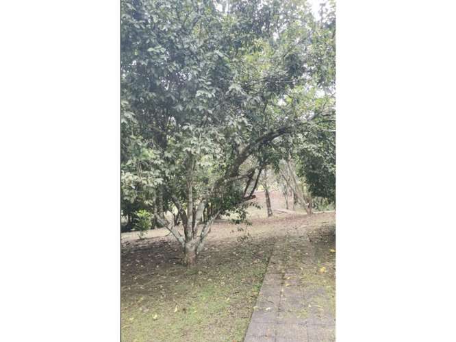 SE VENDE CASA 6000M EN CHILIBRE AGUA BENDITA CON TERRAZAS DUPLEX - Imagen 8