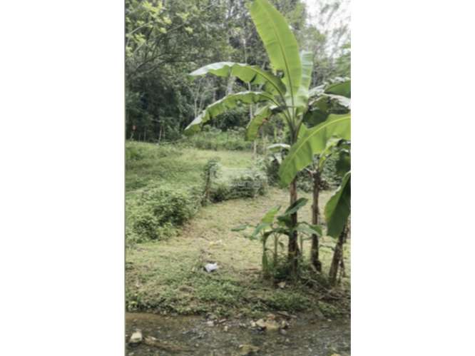 SE VENDE CASA 6000M EN CHILIBRE AGUA BENDITA CON TERRAZAS DUPLEX - Imagen 16