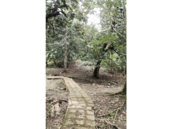 SE VENDE CASA 6000M EN CHILIBRE AGUA BENDITA CON TERRAZAS DUPLEX - Imagen 13