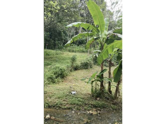 SE VENDE CASA 6000M EN CHILIBRE AGUA BENDITA CON TERRAZAS DUPLEX - Imagen 7