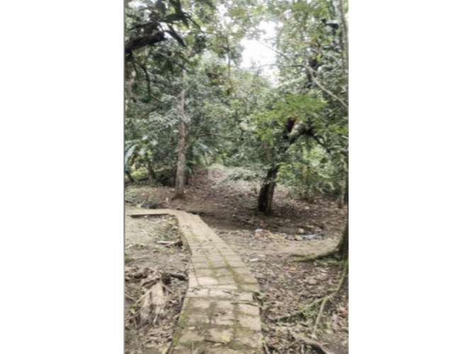 SE VENDE CASA 6000M EN CHILIBRE AGUA BENDITA CON TERRAZAS DUPLEX - Imagen 17
