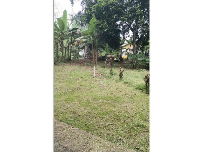 SE VENDE CASA 6000M EN CHILIBRE AGUA BENDITA CON TERRAZAS DUPLEX - Imagen 6