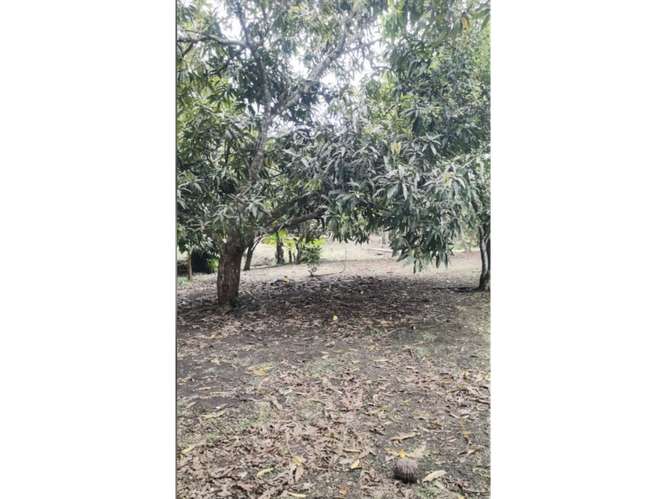 SE VENDE CASA 6000M EN CHILIBRE AGUA BENDITA CON TERRAZAS DUPLEX - Imagen 9