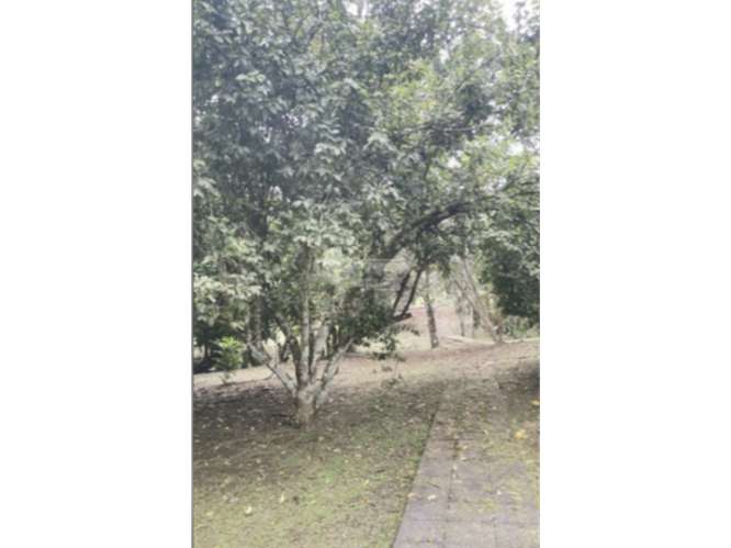 CHILIBRE / AGUA BENDITA / 6000M / 5 HABITACION / TERRAZAS / DUPLEX - Imagen 15