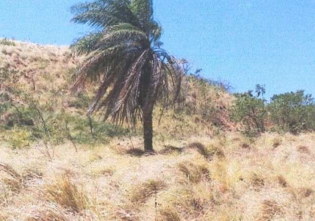VENTA TERRENO EN PEDASI A MINUTOS DE PLAYA VENAO - Imagen 16