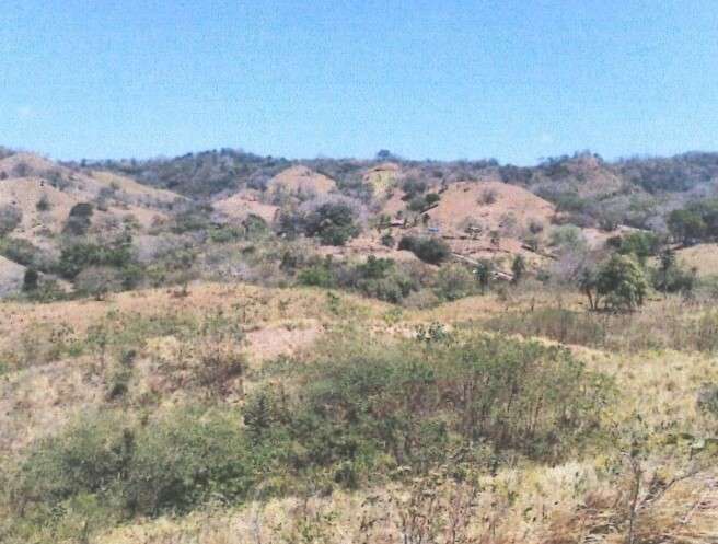 VENTA TERRENO EN PEDASI A MINUTOS DE PLAYA VENAO - Imagen 11