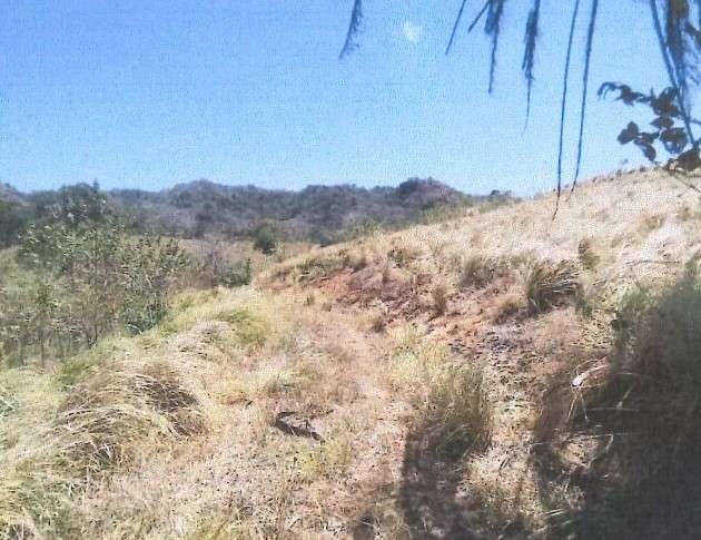 VENTA TERRENO EN PEDASI A MINUTOS DE PLAYA VENAO - Imagen 14