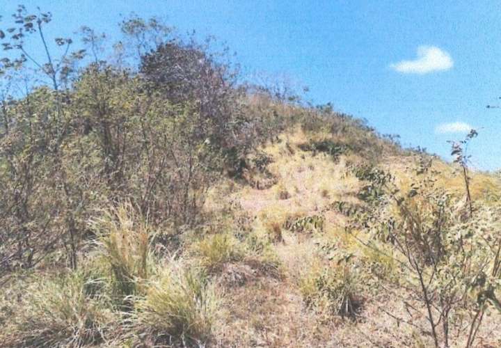 VENTA TERRENO EN PEDASI A MINUTOS DE PLAYA VENAO - Imagen 13