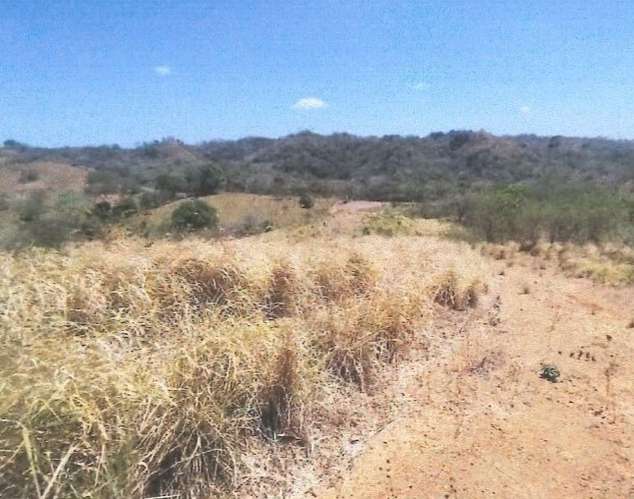 VENTA TERRENO EN PEDASI A MINUTOS DE PLAYA VENAO - Imagen 12