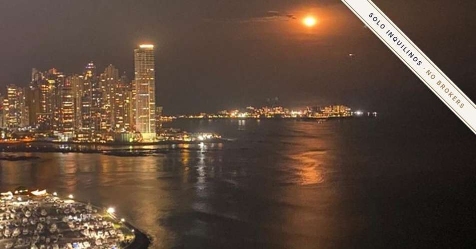 Apartamento en alquiler    Primera línea frente al mar