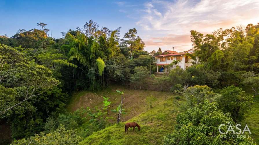 Casa de 3 Habitaciones en Venta sobre un Terreno de 1.89 Acres en Santa Fe, Veraguas - Imagen 17