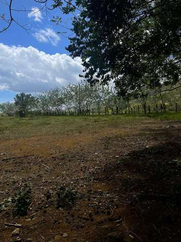 Finca de 16 hectáreas con vista a las montañas en Cochea, David, Chiriquí - Imagen 3