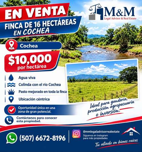 Finca de 16 hectáreas con vista a las montañas en Cochea, David, Chiriquí