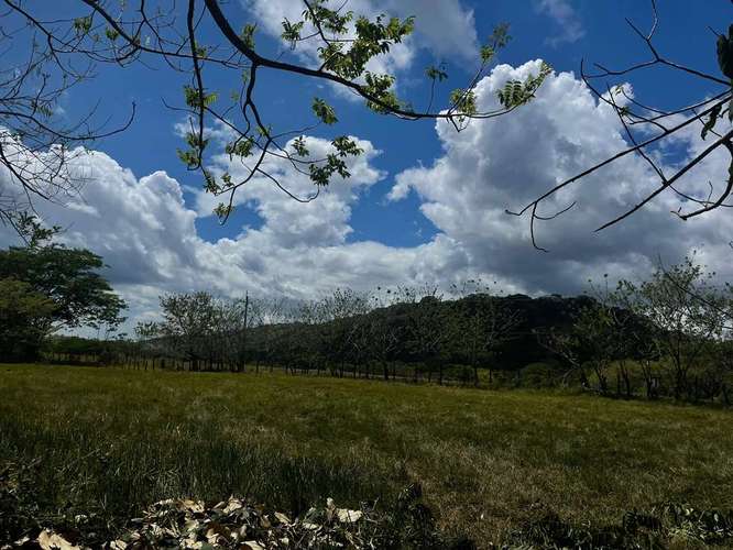 Finca de 16 hectáreas con vista a las montañas en Cochea, David, Chiriquí - Imagen 7