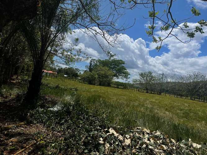 Finca de 16 hectáreas con vista a las montañas en Cochea, David, Chiriquí - Imagen 8