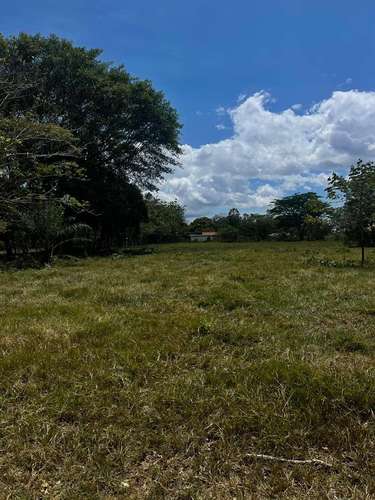 Finca de 16 hectáreas con vista a las montañas en Cochea, David, Chiriquí - Imagen 2