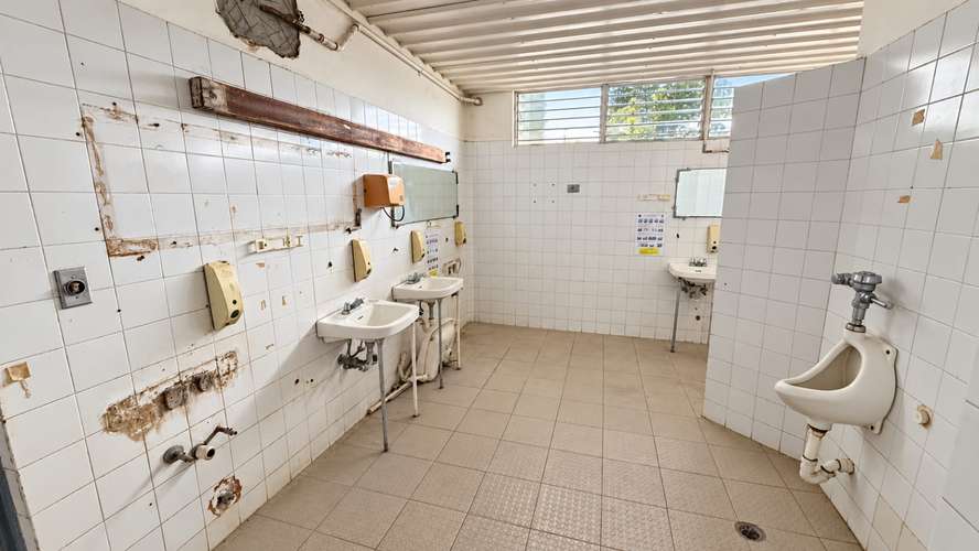 BODEGA EN ALQUILER | BETANIA | LOGISTICA - Imagen 4