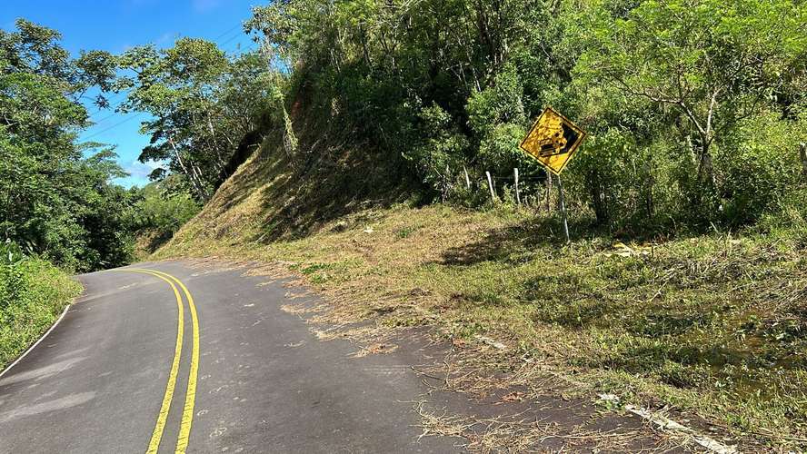 Espectacular finca de 30 hectáreas en San Andrés con vistas a las montañas - Imagen 2