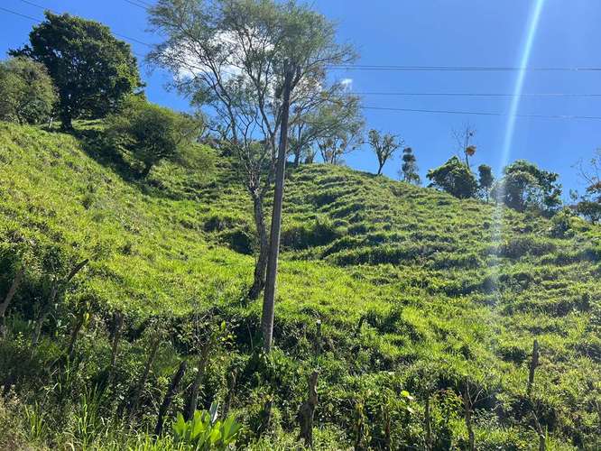 Espectacular finca de 30 hectáreas en San Andrés con vistas a las montañas - Imagen 6