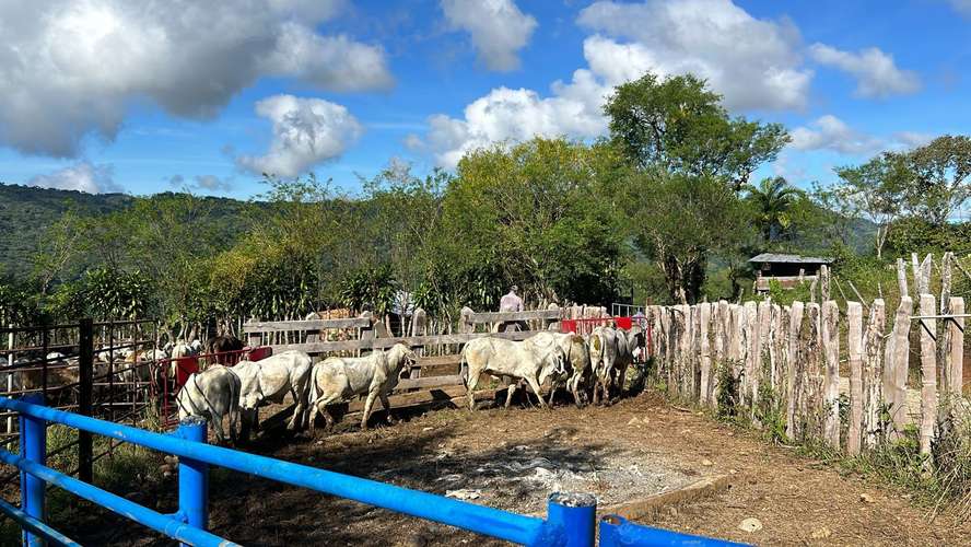 Espectacular finca de 30 hectáreas en San Andrés con vistas a las montañas - Imagen 4