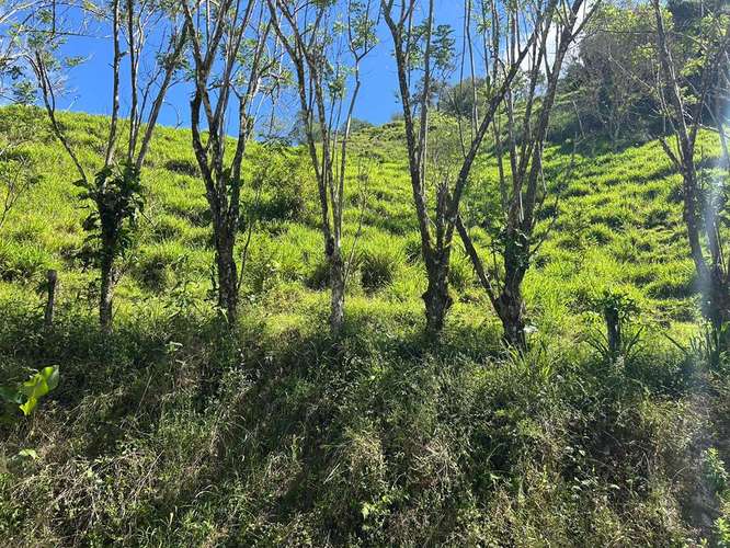 Espectacular finca de 30 hectáreas en San Andrés con vistas a las montañas - Imagen 5
