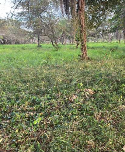 Lote titulado de 4623 m² en Las Lomas, David, rodeado de naturaleza - Imagen 2