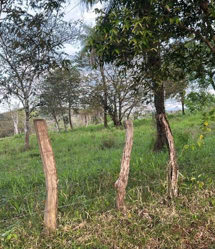 Lote titulado de 4623 m² en Las Lomas, David, rodeado de naturaleza - Imagen 3