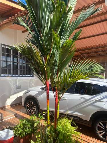ALQUILO CASA BRISAS DEL GOLF AMPLIA EN LAS TERRAZAS 