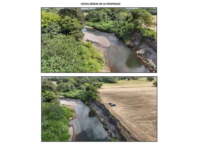 VENTA DE 2 FINCAS DE 23 HECTÁREAS EN CHIRIQUÍ | SECTOR SANTO TOMAS - Imagen 10