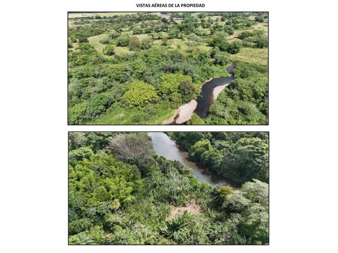 VENTA DE 2 FINCAS DE 23 HECTÁREAS EN CHIRIQUÍ | SECTOR SANTO TOMAS - Imagen 8