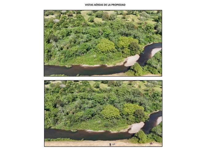 VENTA DE 2 FINCAS DE 23 HECTÁREAS EN CHIRIQUÍ | SECTOR SANTO TOMAS - Imagen 7