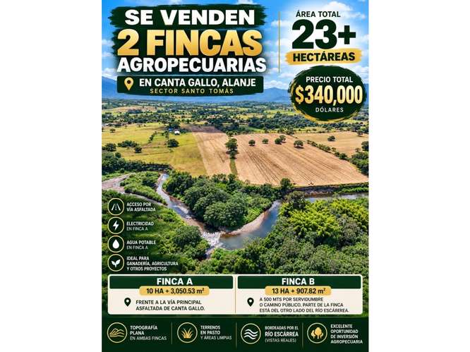 VENTA DE 2 FINCAS DE 23 HECTÁREAS EN CHIRIQUÍ | SECTOR SANTO TOMAS