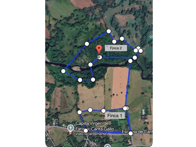 VENTA DE 2 FINCAS DE 23 HECTÁREAS EN CHIRIQUÍ | SECTOR SANTO TOMAS - Imagen 14