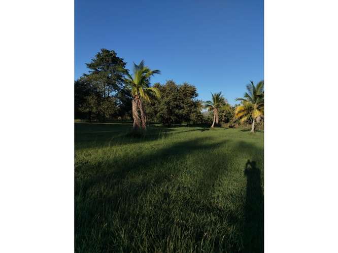 CORONADO / BOULEVARD / 6.8 HECTAREAS / TERRENO PARA DESARROLLO - Imagen 17
