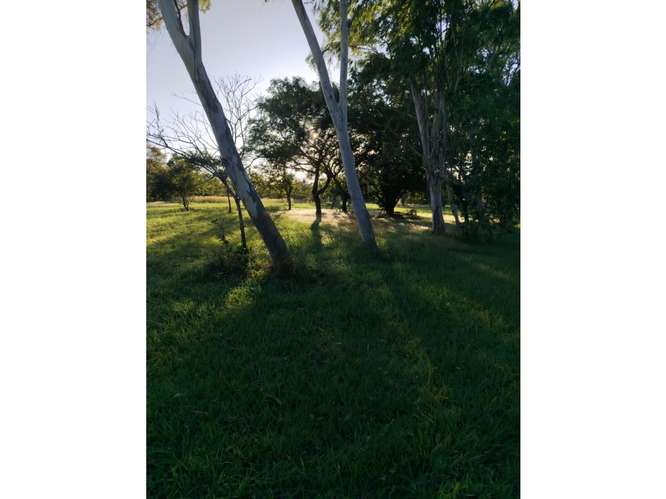 CORONADO / BOULEVARD / 6.8 HECTAREAS / TERRENO PARA DESARROLLO - Imagen 7