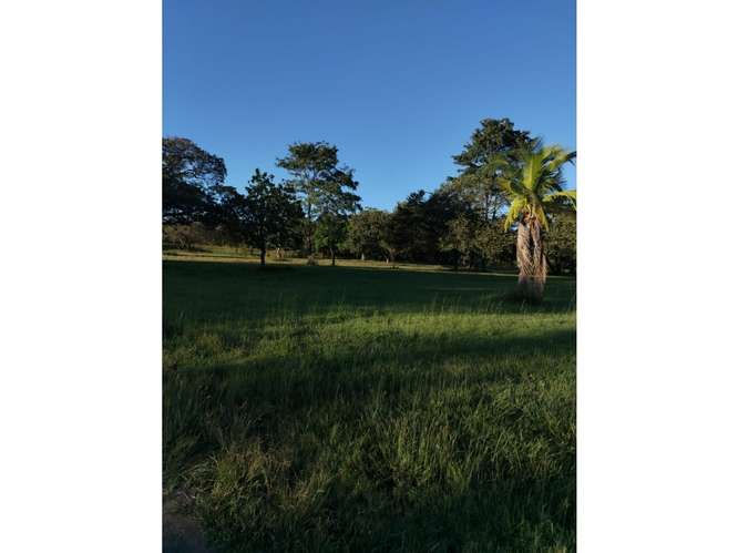 CORONADO / BOULEVARD / 6.8 HECTAREAS / TERRENO PARA DESARROLLO - Imagen 18