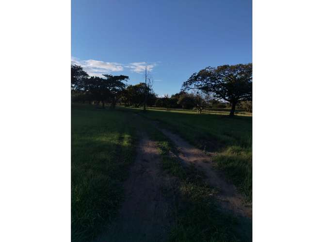 SE VENDE ESPECTACULAR TERRENO 6.8 HECTAREAS EN CORONADO BOULEVARD - Imagen 12