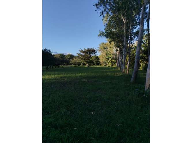 SE VENDE ESPECTACULAR TERRENO 6.8 HECTAREAS EN CORONADO BOULEVARD - Imagen 20