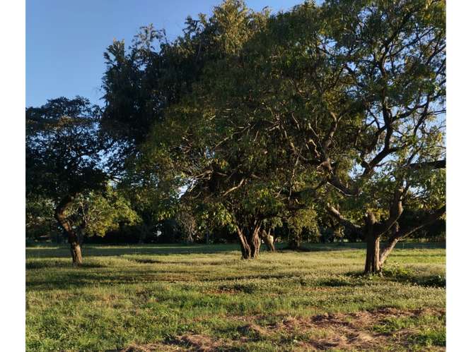 SE VENDE ESPECTACULAR TERRENO 6.8 HECTAREAS EN CORONADO BOULEVARD