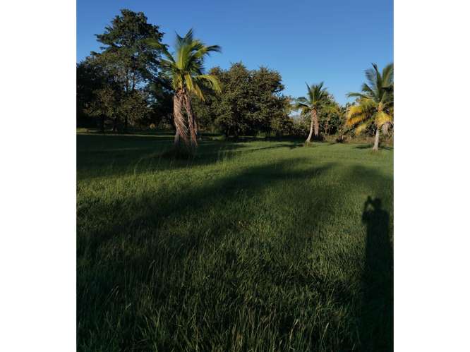 CORONADO / BOULEVARD / 6.8 HECTAREAS / TERRENO PARA DESARROLLO - Imagen 5