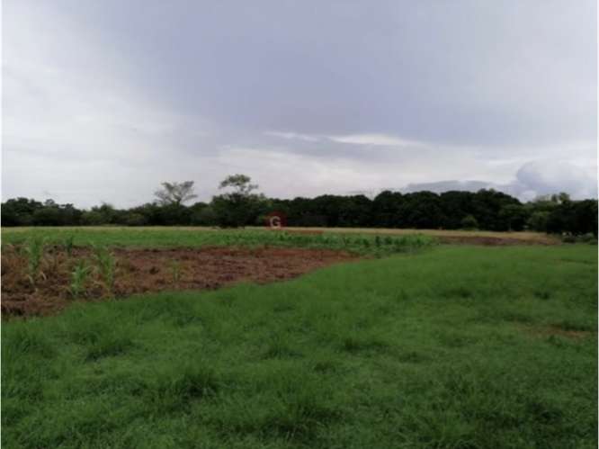 SE VENDE TERRENO 37,789M EN CORONADO BOULEVARD CON 3 FINCAS - Imagen 18