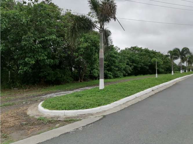 SE VENDE TERRENO 37,789M EN CORONADO BOULEVARD CON 3 FINCAS - Imagen 15