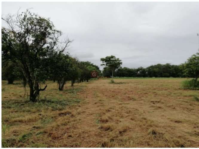 CORONADO BOULEVARD / 37,789M / TERRENO DE 3 FINCAS / ZONAS VERDES - Imagen 20