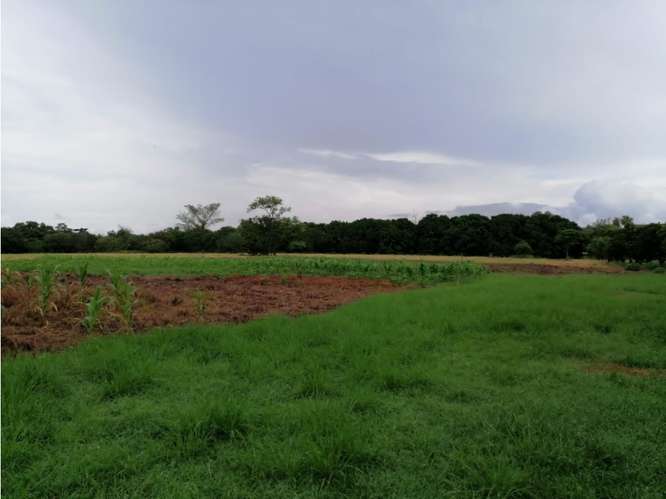 CORONADO BOULEVARD / 37,789M / TERRENO DE 3 FINCAS / ZONAS VERDES - Imagen 5