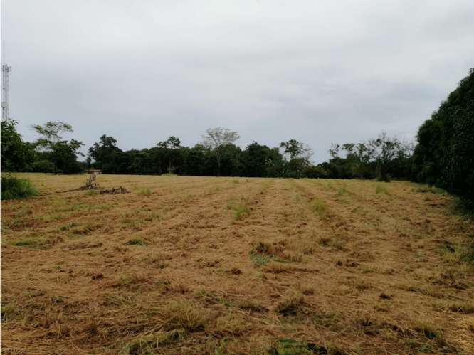CORONADO BOULEVARD / 37,789M / TERRENO DE 3 FINCAS / ZONAS VERDES - Imagen 8